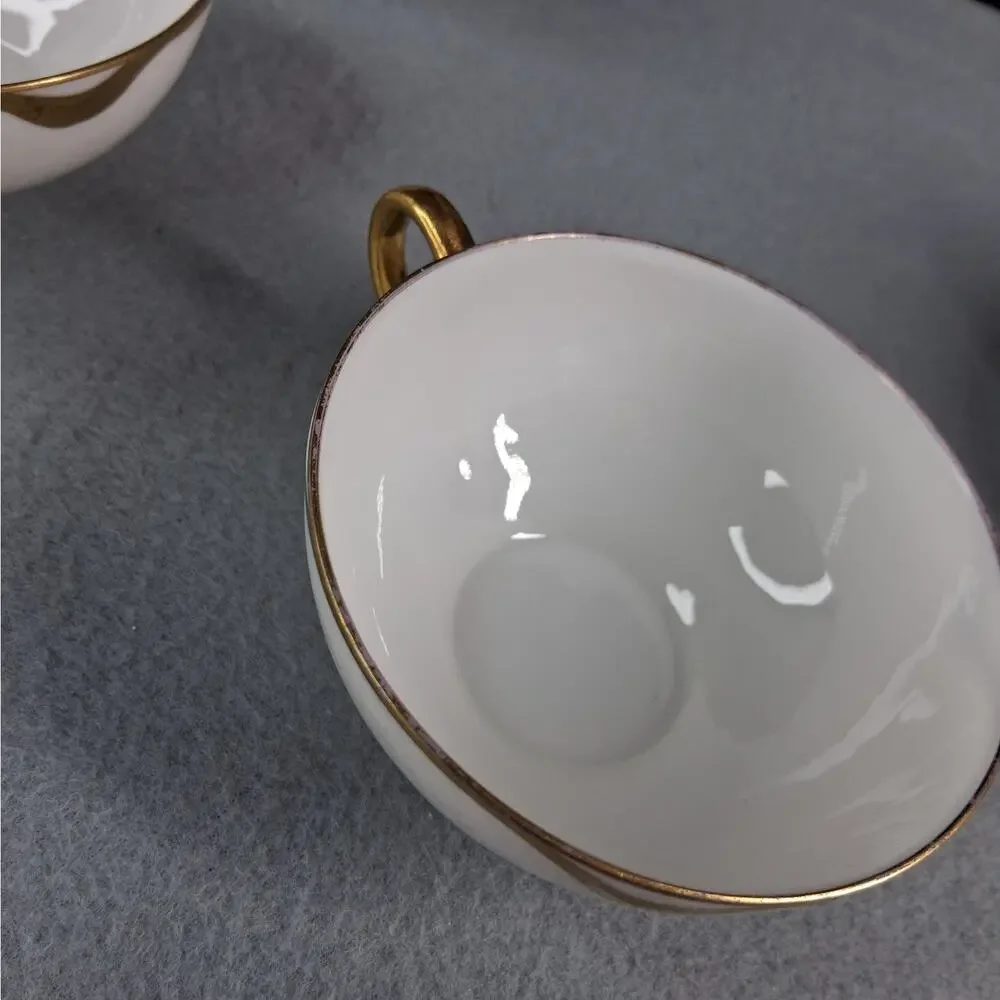 Haviland France Limoges set vintage